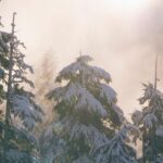 Kamera a kézbe! Képkocka a Csallóközi Népművelési Központban