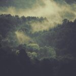 A DAC–Nagyszombat képekben